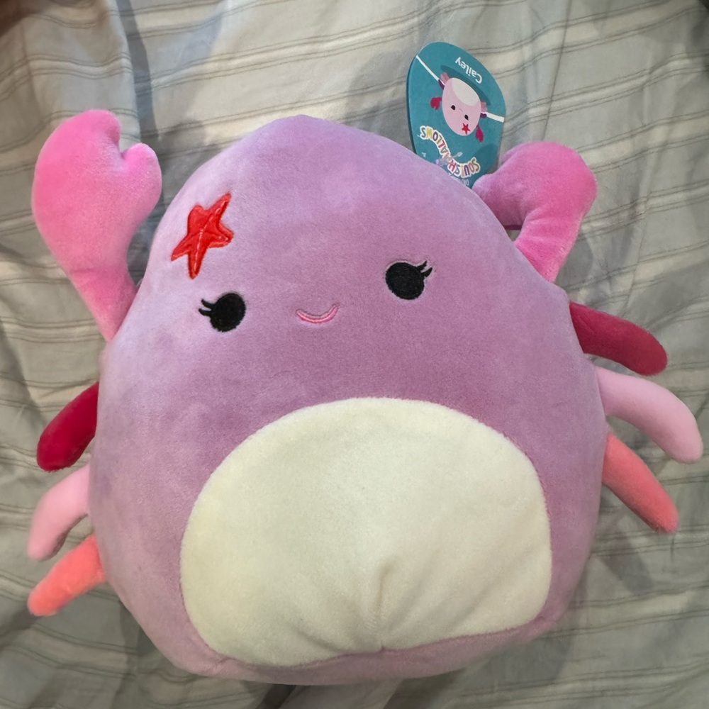 Cailey squishmallow